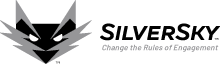 SS Logo